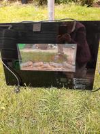 Elektrische sfeerhaard Inbouw open haard model. Kacheltje, Huis en Inrichting, Ophalen, Inbouwhaard, Elektrische haard