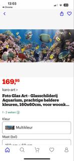 Glas Art Aquarium - Glasschilderij, Huis en Inrichting, Overige typen, Ophalen of Verzenden, Zo goed als nieuw, 50 tot 75 cm