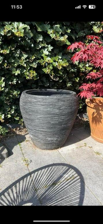 Grote bloempot  beschikbaar voor biedingen