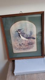LIJSTJE MET KIEVIT OP HET NEST, Ophalen of Verzenden, Minder dan 50 cm, Schilderij, Minder dan 50 cm