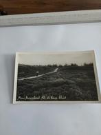 MOOI. NEDERLAND.   ALS DE HEIDE. BLOEIT, Verzamelen, Ophalen of Verzenden, Gelderland