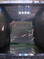 Crystal Red garnalen (prl), Dieren en Toebehoren, Kreeft, Krab of Garnaal