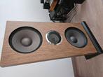 Semi actieve open baffle met Lowther pm2c, Audio, Tv en Foto, Luidsprekers, Zo goed als nieuw, 120 watt of meer, Front, Rear of Stereo speakers