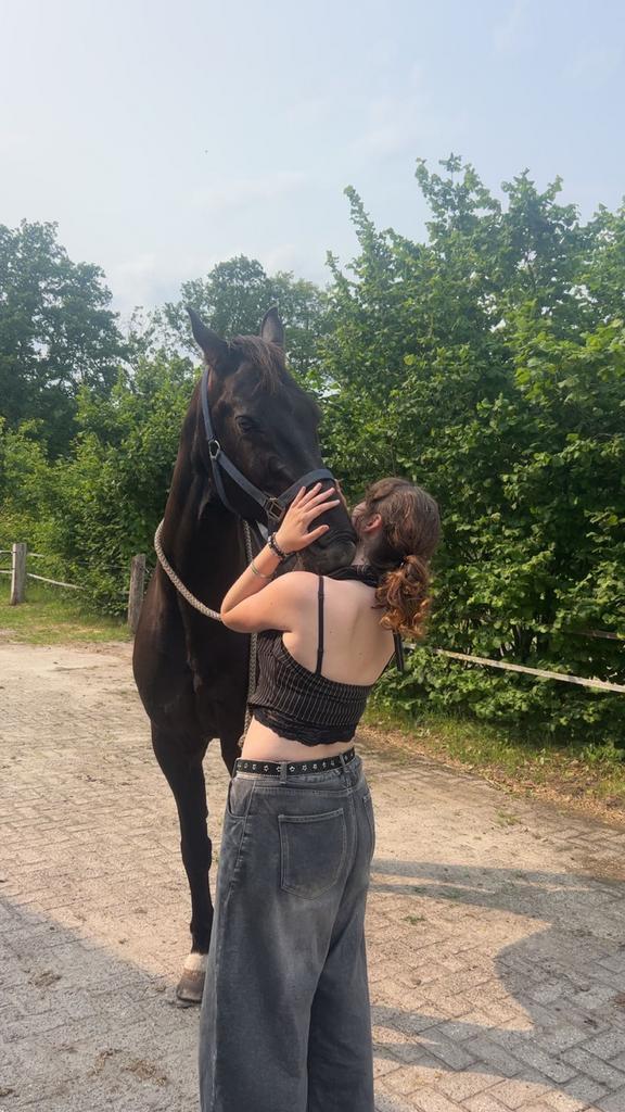 Bijrijder/leaser aangeboden, Dieren en Toebehoren, Paarden en Pony's | Verzorgingsproducten, Zo goed als nieuw, Ophalen of Verzenden