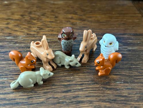Lego wilde dieren NIEUW! Uil rat haas eekhoorn - Ridders, Kinderen en Baby's, Speelgoed | Duplo en Lego, Nieuw, Lego, Losse stenen