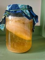 jun scoby, jun kombucha 🍯 beperkt aantal! 🍯, Diversen, Levensmiddelen, Ophalen