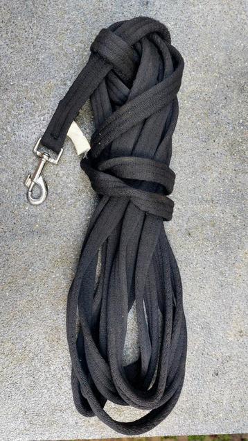 Longeerlijn met bitstukje beschikbaar voor biedingen