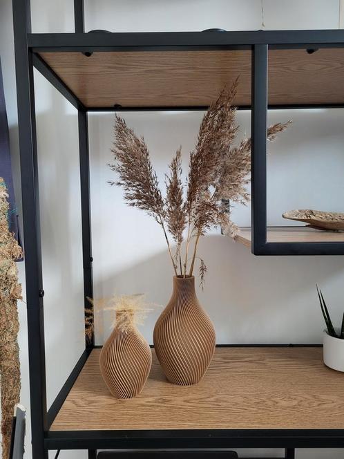 Design vazen voor uw luxe strakke inrichting, Huis en Inrichting, Woonaccessoires | Droogbloemen, Zo goed als nieuw, Ophalen of Verzenden
