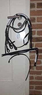 Profi-Rider hoofdstel full, Dieren en Toebehoren, Paarden en Pony's | Hoofdstellen en Tuigage, Ophalen of Verzenden, Nieuw