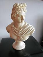 Beeld Klassieke oudheid - Apollo Belvedere, Ophalen