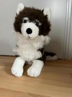 Husky knuffel, Hond, Gebruikt, Ophalen