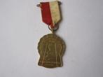 medaille schaatsen IJsselmeer, Postzegels en Munten, Ophalen of Verzenden, Overige materialen, Nederland