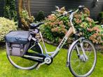 Giant Twist E-bike, Ophalen, Gebruikt, Giant, 47 tot 51 cm