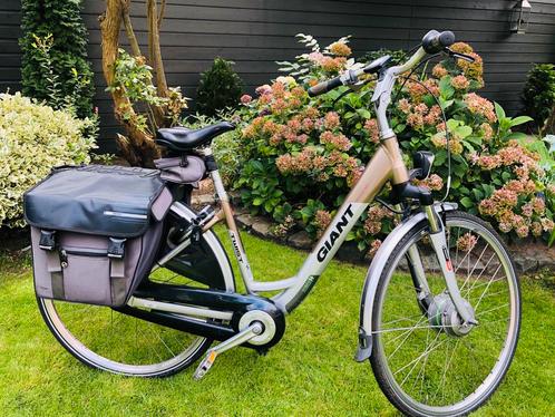 Giant Twist E-bike, Fietsen en Brommers, Elektrische fietsen, Gebruikt, Giant, 47 tot 51 cm, 50 km per accu of meer, Ophalen