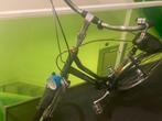 Batavus damesfiets Giant gazelle omafiets, 59 cm of meer, Ophalen of Verzenden