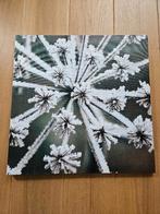 Kerst canvas met lichtjes, 50x50cm, Diversen, Kerst, Ophalen of Verzenden, Nieuw