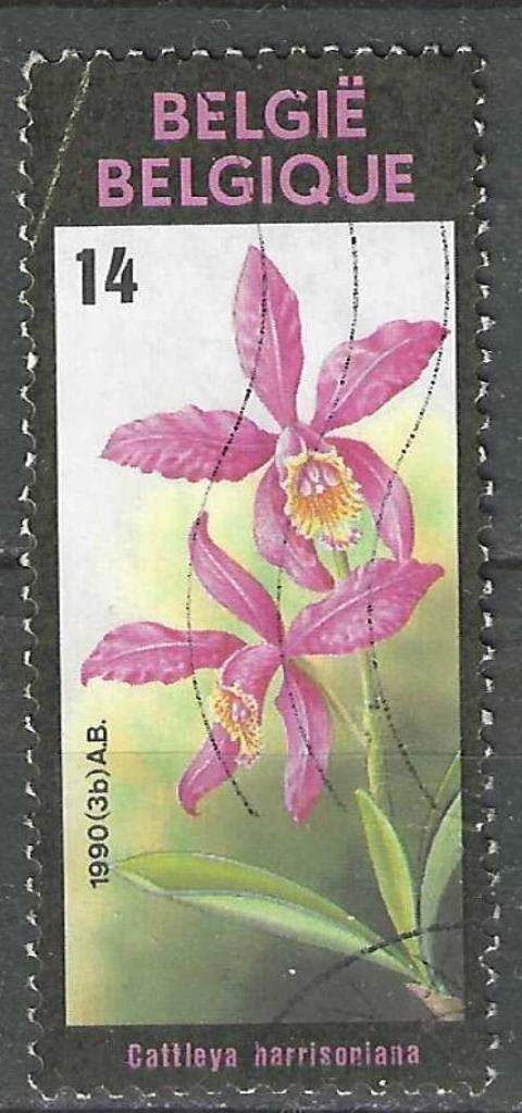 Belgie 1990 - Yvert/OBP 2358 - Gentse Floralien VIII (ST), Postzegels en Munten, Postzegels | Europa | België, Verzenden