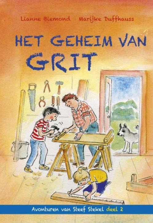 Het geheim van Grit Lianne Biemond 9087182090, Boeken, Kinderboeken | Jeugd | 10 tot 12 jaar, Zo goed als nieuw, Ophalen of Verzenden