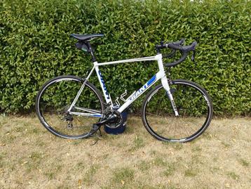 Giant Defy race fiest - goede staat beschikbaar voor biedingen