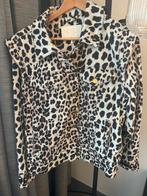 Jasje Notes du Nord, Kleding | Dames, Beige, Ophalen of Verzenden, Zo goed als nieuw, Jasje