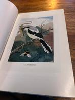 Het Vogelboekje - Dr. Jac. P. Thijsse, Boeken, Ophalen of Verzenden, Gelezen, Vogels