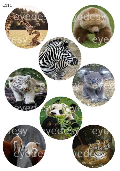 collagevellen deel 5, Hobby en Vrije tijd, Kaarten | Zelf maken, Nieuw, Overige typen, Overige thema's, Ophalen of Verzenden
