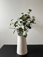 Eucalyptus tak, Ophalen of Verzenden, Zo goed als nieuw