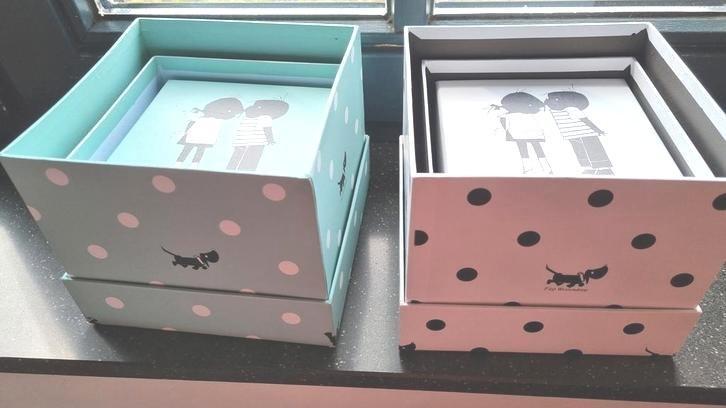 NIEUW Jip en Janneke en Takkie opbergdozen - 2 sets van 3, Huis en Inrichting, Woonaccessoires | Overige, Nieuw, Ophalen
