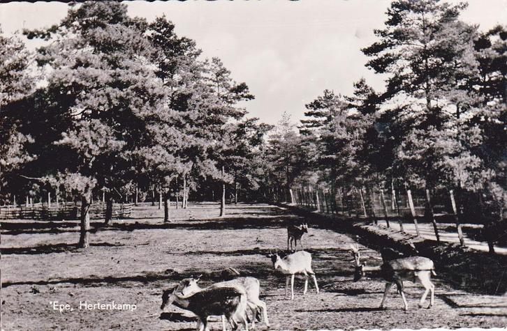 00457 Epe - Hertenkamp - gel. 1965, Verzamelen, Ansichtkaarten | Nederland, Gelopen, Gelderland, 1960 tot 1980, Verzenden