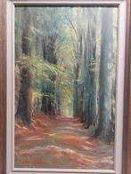 Prachtig olieverf schilderij “Boslaan” – Tony Reniers –54x78, Antiek en Kunst, Ophalen of Verzenden