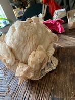 Antieke Brocante Bonnet met Kant, Kleding | Dames, Hoeden en Petten, Hoed, T, N, Gedragen