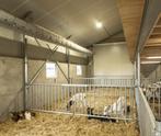 Stal voor Jongvee, Dieren en Toebehoren, Stalling en Weidegang, Stalling