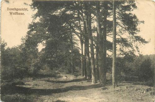 (387-083-039) Wolfheze Boschgezicht, Verzamelen, Ansichtkaarten | Nederland, Gelderland, Voor 1920, Verzenden