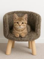 2x Poezenmand, Dieren en Toebehoren, Kattenmanden, Ophalen of Verzenden, Zo goed als nieuw, Overige