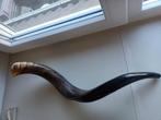 Koedoe Shofar uit Israël - Gepolijste Hoorn, Ophalen of Verzenden