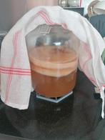Scoby (bio) (Amsterdam Noord), Diversen, Levensmiddelen, Ophalen