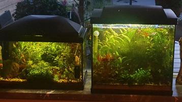 Aquariums 2x  beschikbaar voor biedingen