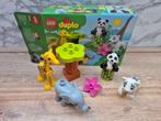 Duplo 10904 Baby dieren, Ophalen of Verzenden, Complete set, Duplo