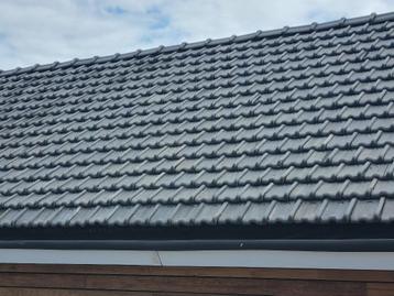 Kruispannen  1000 stuks beschikbaar voor biedingen