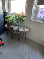 Unieke boomstam bijzettafel, Huis en Inrichting, Tafels | Bijzettafels, Ophalen, Minder dan 45 cm, Minder dan 55 cm, Rond