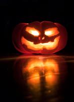 Gratis Halloween spullen gezocht!, Hobby en Vrije tijd, Ophalen of Verzenden, Gebruikt, Versiering, Halloween of Griezel
