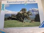 Diverse puzzels, Ophalen of Verzenden, Zo goed als nieuw