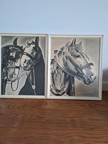 Vintage Set Houtskool tekeningen Torso Paarden