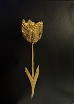 Tulp, Ophalen of Verzenden