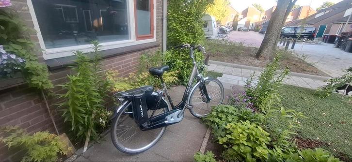 giant twist go double +2x 36 v accu, Fietsen en Brommers, Overige Fietsen en Brommers, Gebruikt, Ophalen of Verzenden