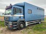 2004 MAN H09 Veewagen, Auto's, Vrachtwagens, Origineel Nederlands, Bedrijf, 2 stoelen, 479 pk