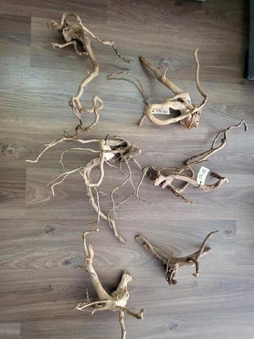 Spiderwood – 6 stuks (nieuw, nooit gebruikt) beschikbaar voor biedingen