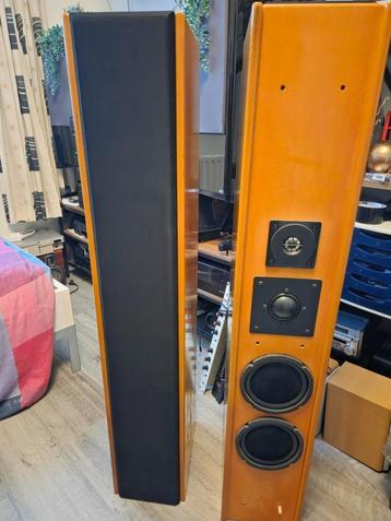 Pied Piper Floorstanding Speakers  beschikbaar voor biedingen
