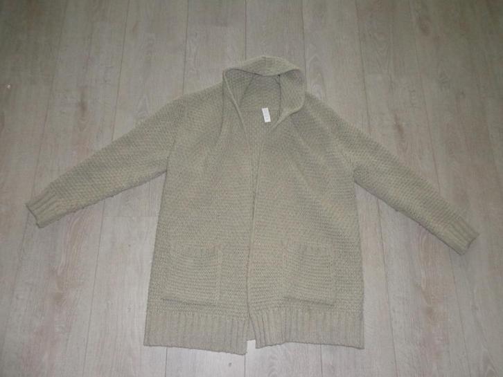beige damesvest van By Bar, maat L, Kleding | Dames, Truien en Vesten, Gedragen, Maat 42/44 (L), Beige, Ophalen of Verzenden