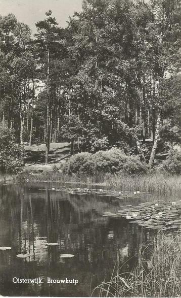 Oisterwijk Brouwkuip 1952 beschikbaar voor biedingen